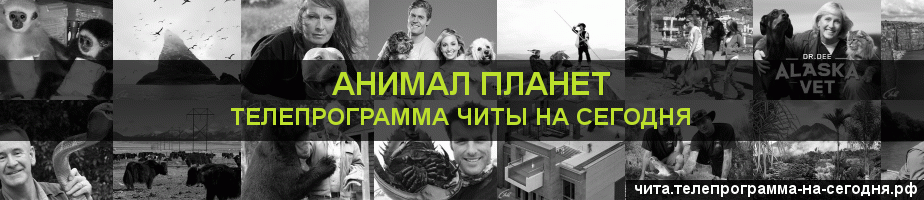 Телепрограмма на сегодня канала Анимал Планет, Чита
